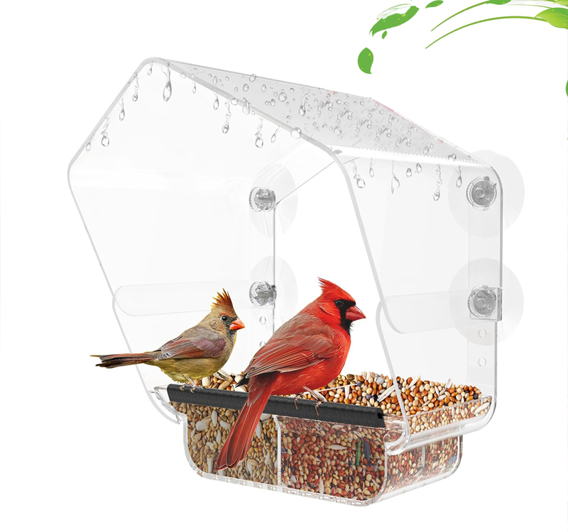 Bird Water Feeders
